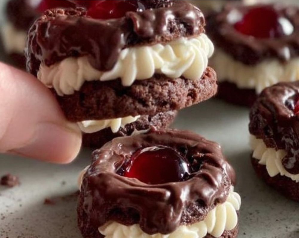 Black Forest Christmas Cookies: Prettiest Chocolate Treats Gift Ideas overview