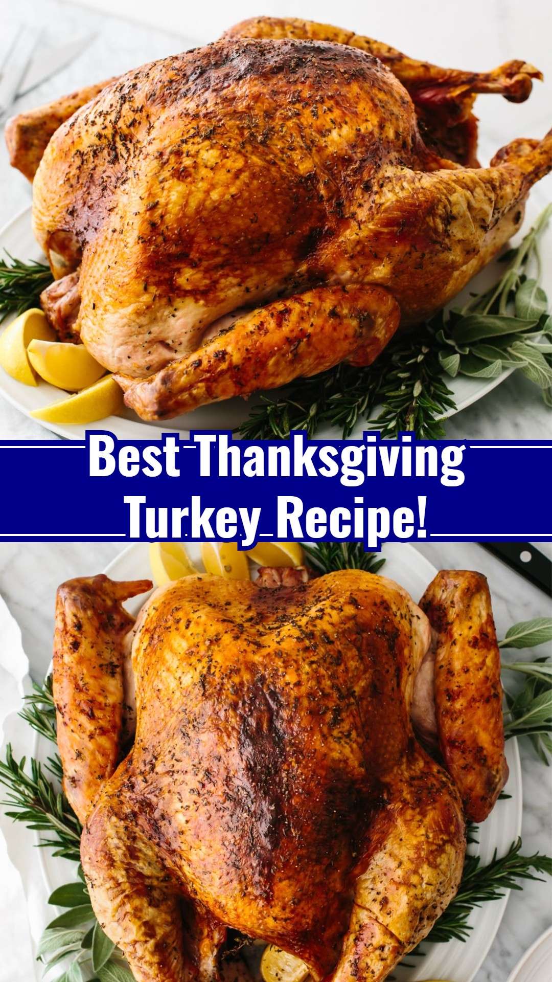 Perfectly Easy Thanksgiving Roast Turkey