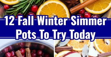 Easy Seasonal Simmer Pots Fall Winter New Year Orange Apple