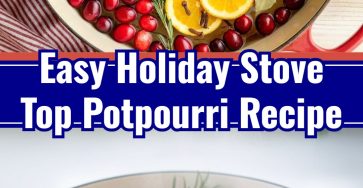 Homemade Holiday Stove Top Potpourri Christmas Gift Ideas