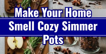 Homemade Simmer Pots: Best Smelling Holiday Scent Simmering Pot Variety