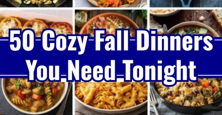 Warm and Cozy Fall Dinner Ideas: Hearty Autumn Beef Stew